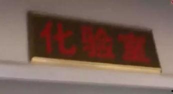 国产鲑鱼能生吃吗视频,能否放心享用？